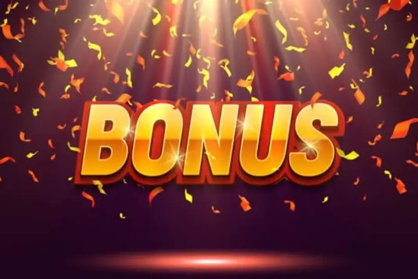 Бонусная программа